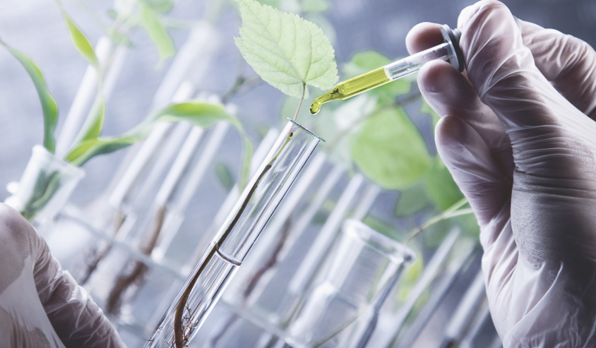 Curso de Engenharia Ambiental e Sanitária