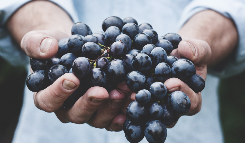Curso de Alimentos