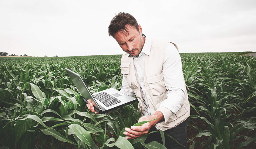 Curso de Agrocomputação