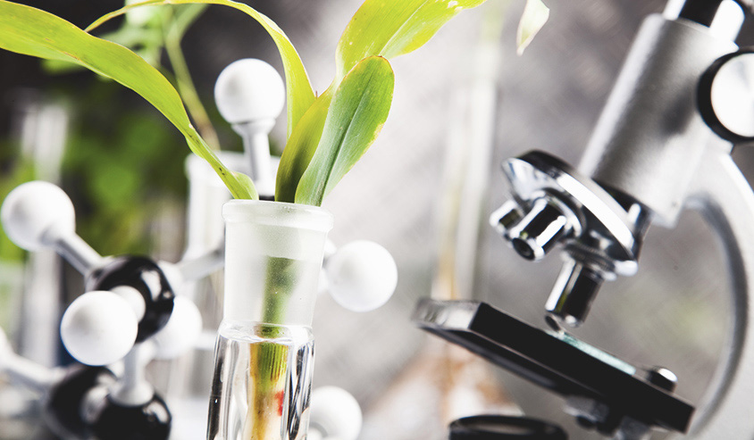 Curso de Biocombustíveis