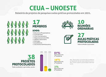 Infográfico: Projeto de pesquisa e aulas práticas protocolados em 2021