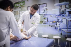 Laboratórios Práticos