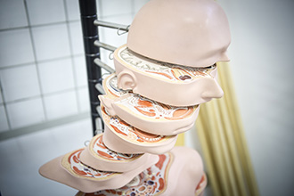 Laboratório de Fisioterapia 1: utilizado para as aulas práticas das disciplinas de Cinesioterapia, Recursos Terapêuticos Manuais e Métodos e Técnicas de Avaliação em Fisioterapia
