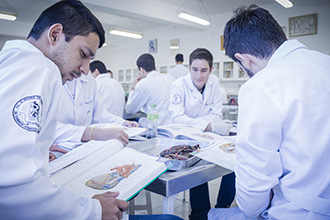 Laboratório de Anatomia Humana: são quatro laboratórios, que têm por objetivo o estudo e manuseio de modelos anatômicos e peças cadavéricas conservadas em solução de glicerina, bem como a dissecação e reparação das peças para estudo