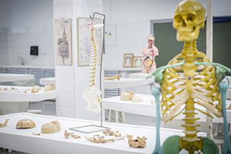 Laboratório de Anatomia Humana: são quatro laboratórios, que têm por objetivo o estudo e manuseio de modelos anatômicos e peças cadavéricas conservadas em solução de glicerina, bem como a dissecação e reparação das peças para estudo