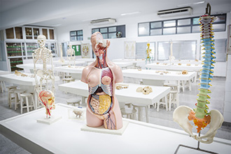 Laboratório de Anatomia Humana: são quatro laboratórios, que têm por objetivo o estudo e manuseio de modelos anatômicos e peças cadavéricas conservadas em solução de glicerina, bem como a dissecação e reparação das peças para estudo