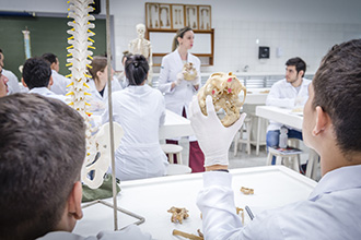 Laboratório de Anatomia Humana: são quatro laboratórios, que têm por objetivo o estudo e manuseio de modelos anatômicos e peças cadavéricas conservadas em solução de glicerina, bem como a dissecação e reparação das peças para estudo