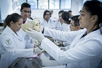 Laboratório de Anatomia Humana: são quatro laboratórios, que têm por objetivo o estudo e manuseio de modelos anatômicos e peças cadavéricas conservadas em solução de glicerina, bem como a dissecação e reparação das peças para estudo