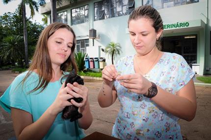 Veterinária promove Feira de Adoção de Pequenos Animais