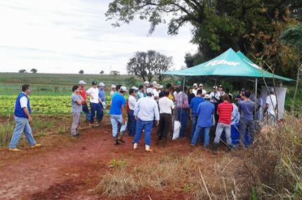 Agronomia contribui em evento no PR sobre legumes e verduras