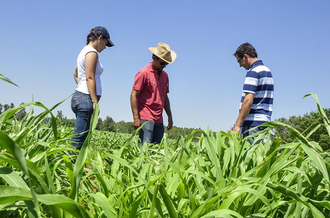 A melhor em Biológicas e da Terra pelo Guia do Estudante