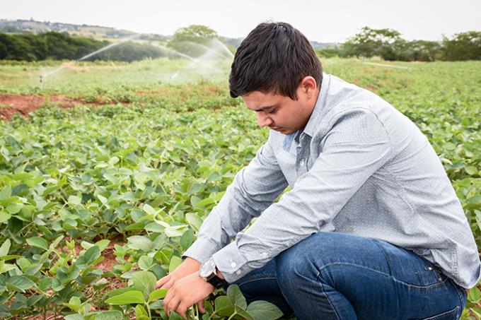 Agronomia demonstra alto índice de empregabilidade