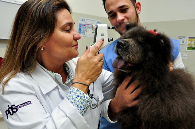 Hospital Veterinário recebe equipamento de ponta em oftalmo