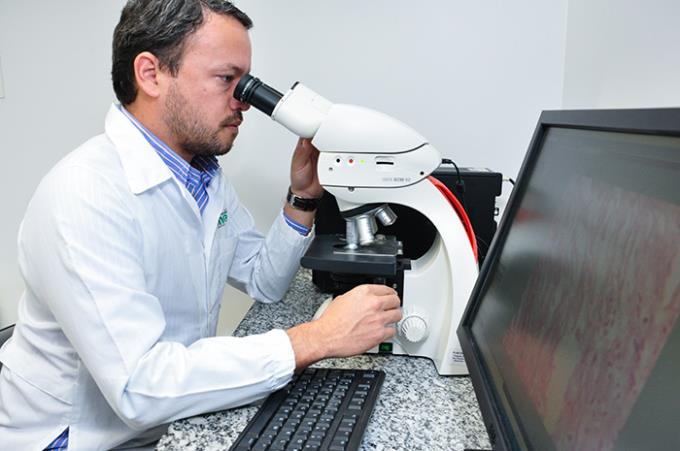 Alimentos funcionais atenuam efeitos do tabagismo passivo
