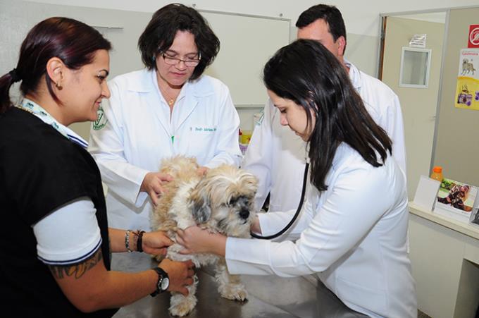 Hospital Veterinário oferece vacina contra leishmaniose
