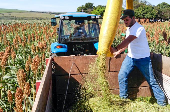 Iniciativa da Unoeste integra Plano Mais Leite, Mais Renda