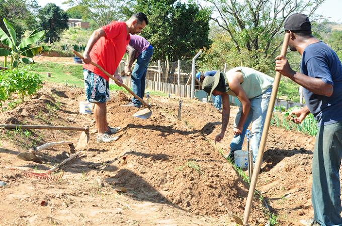 Ciências agrárias contribuem na obra social da Cristolândia