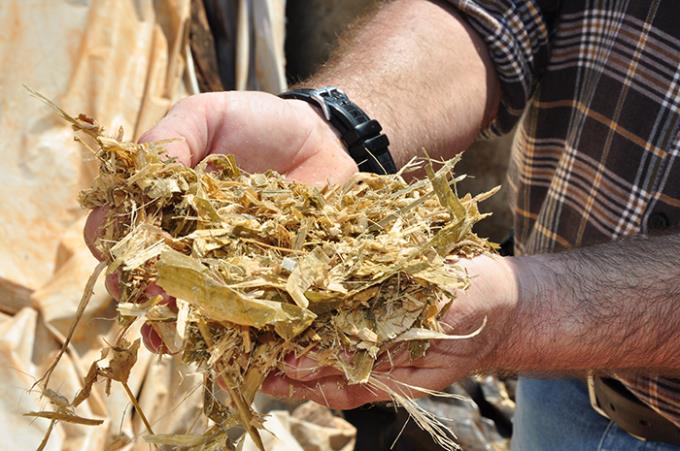 Ensino a distância oferece curso sobre produção de silagem