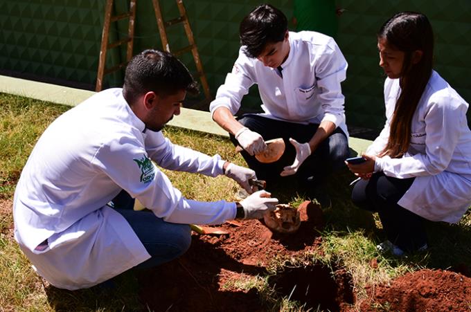 Odontologia Legal é tema de atividade em semana acadêmica