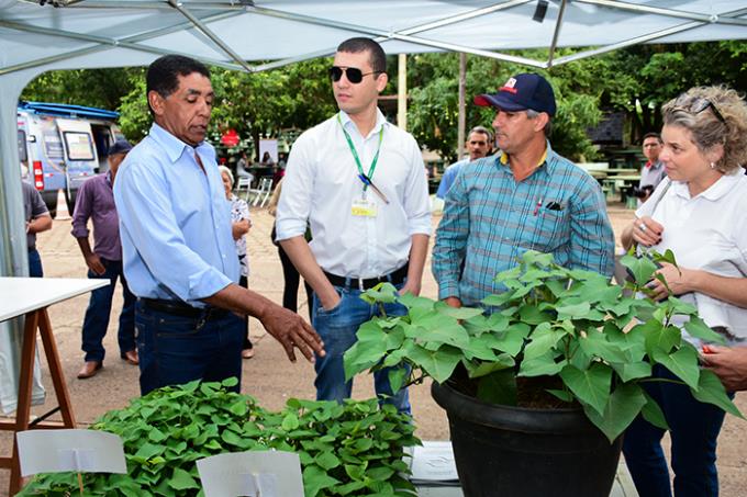 Troca de experiências e aquisição de novos conhecimentos marcou dia de campo com produtores e acadêmicos