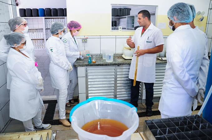 Acadêmicos de Farmácia transformam óleo de cozinha em sabão