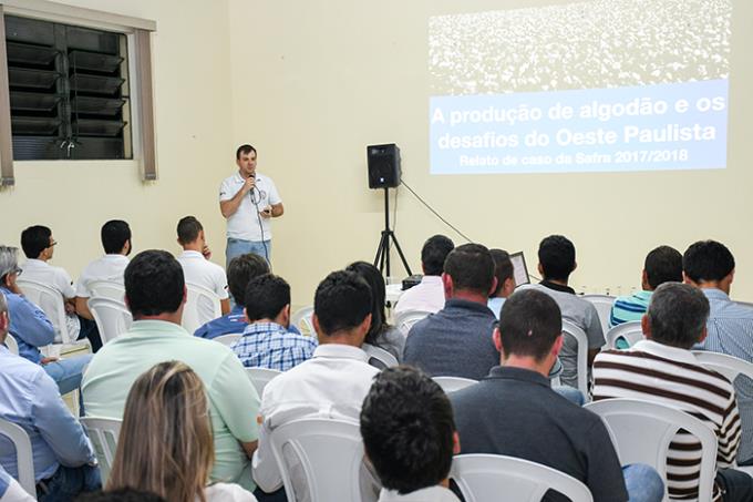 Oeste paulista possui condições muito boas para o algodão”, pontuou o pesquisador da Unoeste, Dr. Fábio Echer