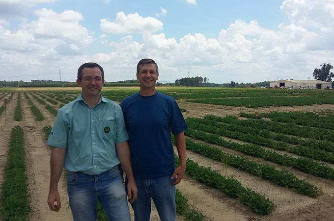 Moro e Scott durante visita em propriedade de cultivo de amendoim