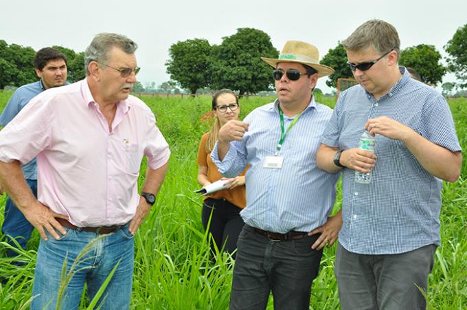 Doutores Rosolem, Santos e Mooney em visita ao experimento na fazenda
