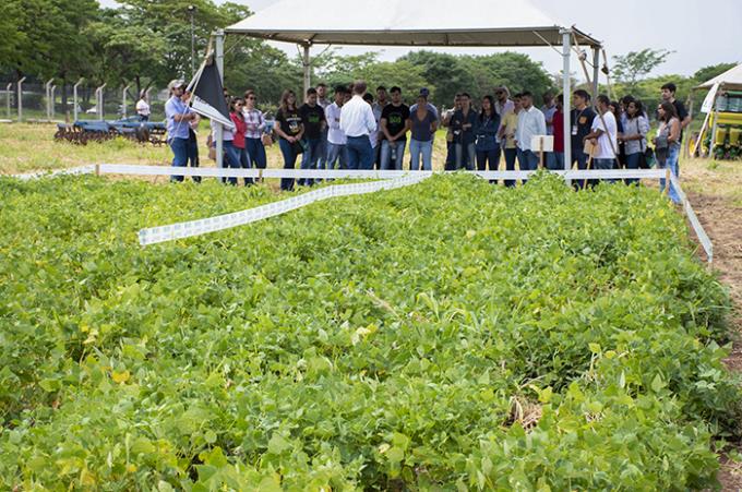 Dia de Campo encerra 31ª Semana de Estudos Agronômicos