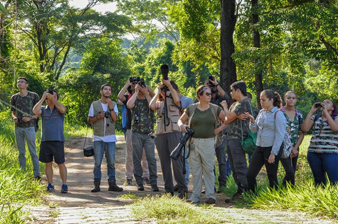 Expedição anota 72 espécies de pássaros na Cidade da Criança