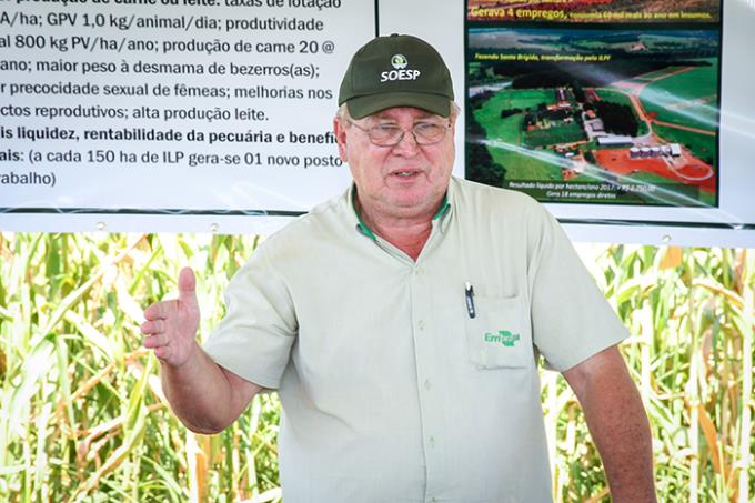 ILP é alternativa para se produzir em altas temperaturas