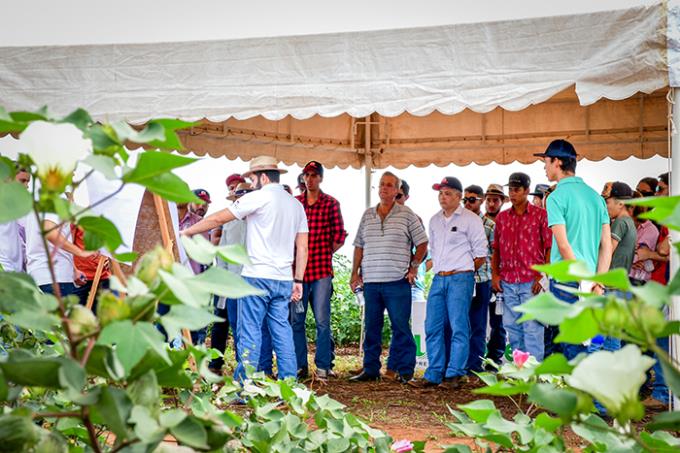 6ª edição de Dia de Campo reúne mais de 300 participantes