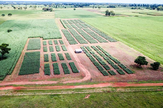 Fazenda Experimental da Unoeste é celeiro de estudos que podem beneficiar o produtor rural