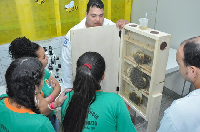 Programa de estímulo à ciência mobiliza mais de 600 meninas