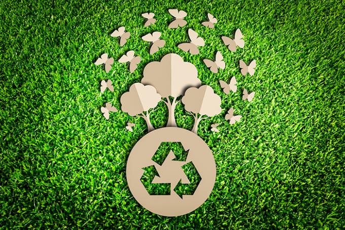 Ecologia Doméstica: mudança de comportamento começa em casa