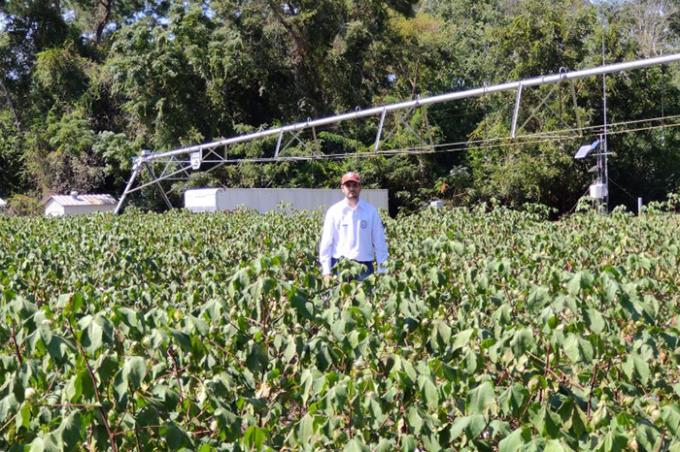 Leonardo em experimento de campo, no meio da plantação de algodão
