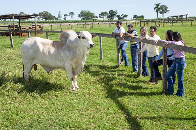 Unoeste tem 28 cursos estrelados em avaliação do Estadão