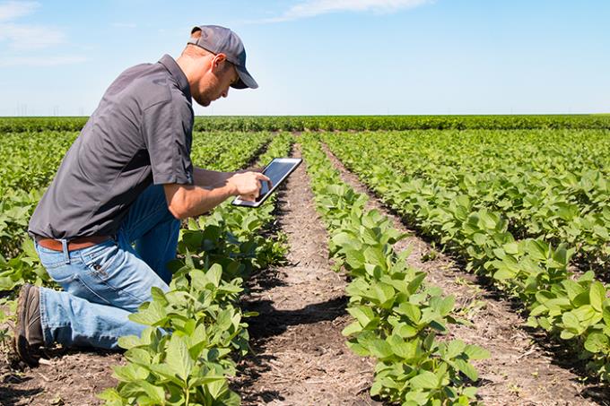 Pós em Agricultura de Precisão é agora ofertada pela Unoeste