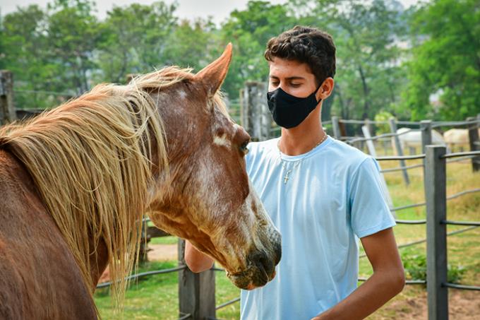 Bandoleiro é equino mascote do Hospital Veterinário da Unoeste e também fez amizade com o jovem
