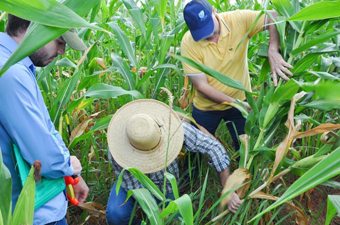 Curso intensivo para agricultura familiar recebe inscrições