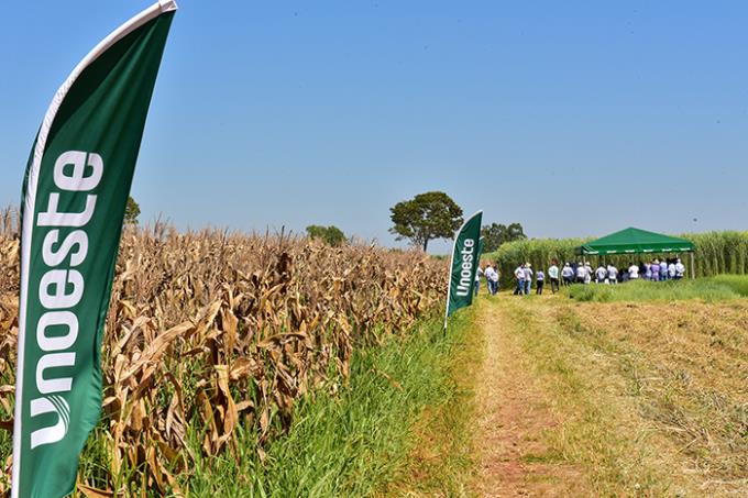 Trajetória em agrárias pode chegar ao doutorado na Unoeste