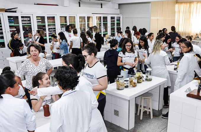 Mobilização vinculada à ONU estimula mulheres na ciência