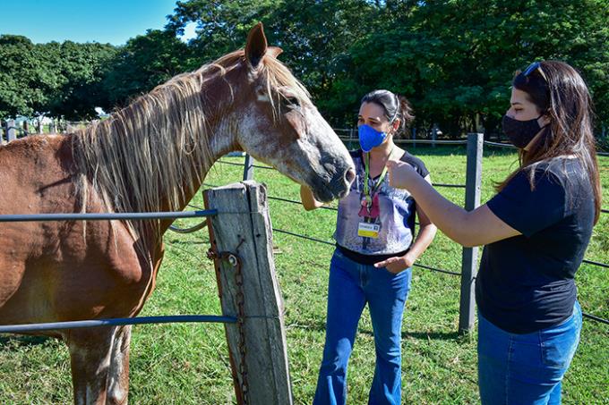 Jovens se encantam com estrutura de Medicina Veterinária