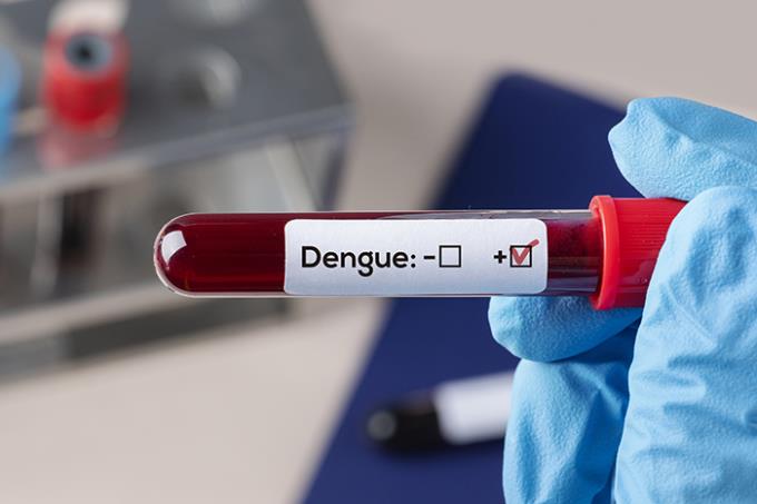 Notificação da dengue tem redução de 55,8% no estado de SP