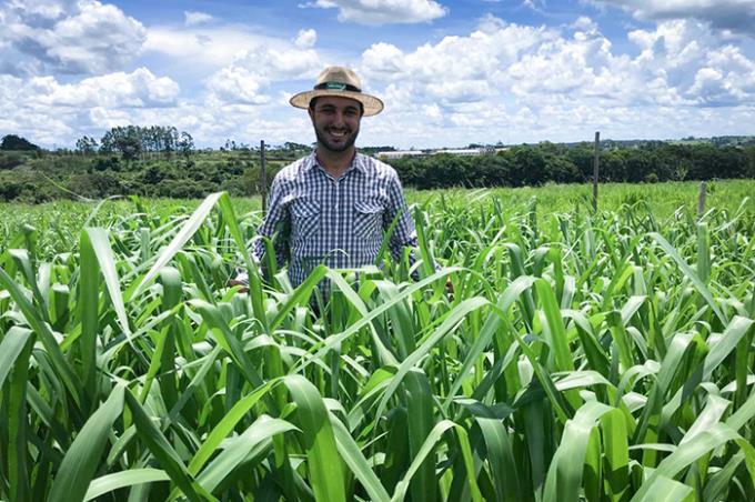 Cresce na pecuária de corte a demanda por especialistas