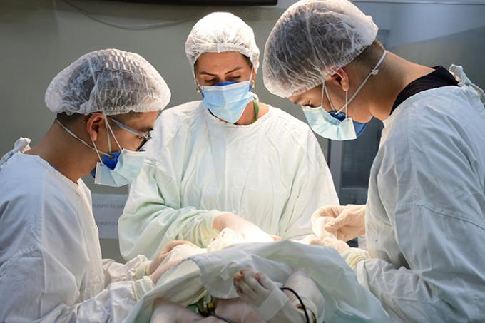 Hospital Veterinário soma mais de 80 mil atendimentos