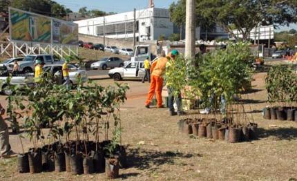 3º Mutirão do Lixo Eletrônico arrecada 50t de materiais