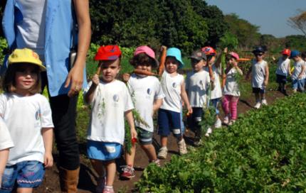 Crianças do ensino infantil conhecem horta da Unoeste