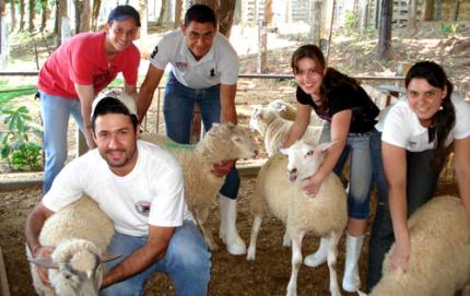 Produtos de origem animal dependem dos zootecnistas