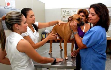 Hospital Veterinário retoma atendimentos